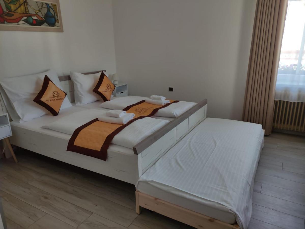 Pension Vidhous 1 Františkovy Lázně Exterior foto